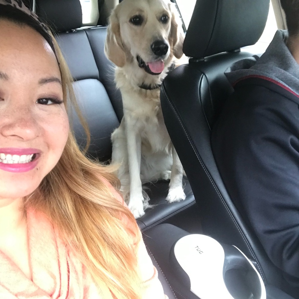 ✨💥 Live Show Notifier, Let’s GO!💥✨ - Picture 10 of 13